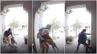 Delivery man saves woman from dog attack, his quick action prevents worse situation