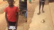 Young Boy Creates Electronic Toy Car with Straw & Kalypo Box