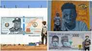 Talented artist gathers massive reactions after paintings go viral