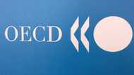 OECD lifts 2024 growth forecasts, driven by US