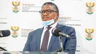 Minister of Transport Fikile Mbalula extends deadline to renew driving licences to March 2022