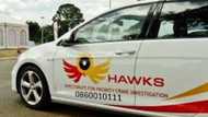 Hawks swoop in and arrest city councillors on charges of fraud