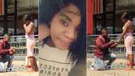 KFC proposal spotted in Newcastle, Mzansi swoons: 'Another one for the books'