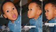 Wise little boy teaches parents and social media a lesson about humanity: "Say sorry to yourself"
