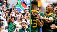 Springboks vs. France: SA coach shares teams's plans ahead of quarter-final match