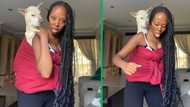 Woman dances with dog on her back in TikTok video, Mzansi viewers crack jokes