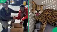 "What a beautiful story": SA petrol attendant saves serval kitten stranded by Veld fire, SA reacts