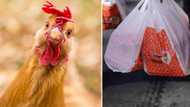 Van carrying a load of live chickens at a Chicken Licken drive-thru has SA howling: "SPCA must look into this"