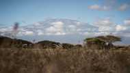 Mount Kilimanjaro fire mostly under control: Tanzania authorities