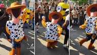 Viral video of Disney's Toy Story star Woody dancing sets fire to thread of hilarious clips of grooving characters