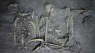 To strengthen ties, ancient Maya gifted neighbors a spider monkey