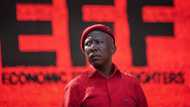 EFF calls Julius Malema "incoming president", cyber citizens are far from convinced