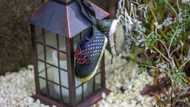 UK owes apology for 'grave wrong' of forced adoptions: inquiry