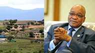 Jacob Zuma discharged from hospital, returns home to Nkandla, Mzansi reacts