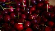 Furious French cherry farmers protest over insecticide ban