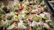 1 200 NGOs' food supply cut off due to looting in FoodForward's warehouse
