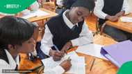 Zimbabwean Grade 12 pupils return to SA to write 2026 Matric Exams