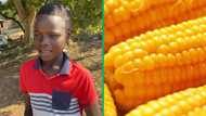 Boy selling mielies overjoy, BI Phakathi blesses him with money: "Thank you so much, God bless you"