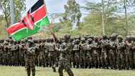 Kenya sending troops to DRCongo to fight rebel advance