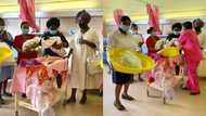 Halala: Limpopo celebrates at least 55 Christmas babies being born