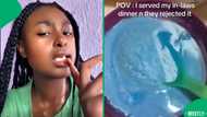"They rejected it like brats": Young woman prepares an unimpressive blue meal for her in-laws