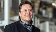 World's richest person Elon Musk sells R76 billion of Tesla stock following social media poll