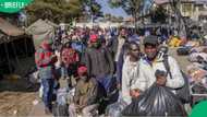 Undocumented Zimbabweans and Malawians vow never to return to South Africa, citizens applaud the news