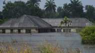 Climate change fuelled rains behind deadly Nigeria floods: study