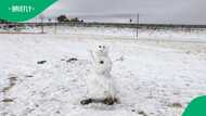 Snow is expected in parts of South Africa for a week from 7 to 10 June 2025