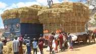 At 'African COP', continent's climate needs may go unmet
