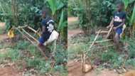 Young boy invents fully functional excavator using tree branches; video impresses many