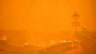 Australia's 'Black Summer' fires affected ozone layer: study