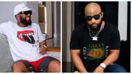 Cassper Nyovest's opinion on education divides Mzansi: "Both is best"