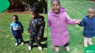 TikTok of children tasting mopane worms for the first time went viral