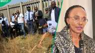 Kempton Park body discoveries: calls for urgent action to protect women intensify