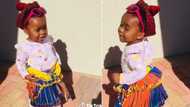 Tsonga Baby in Xibelani tries to traditional dance, toddler's adorable attempt gets 1M TikTok views