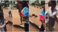 Ultimate blow: Student slaps boyfriend in public as she rejects his proposal