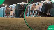 “This would haunt me”: Man falls inside portable toilet during Boardmasters Festival, 17M people outraged