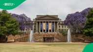 Wits Sociology Department condemns professors' controversial comments, leading to resignation