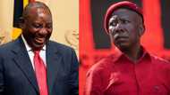 EFF pens legal letter to Ramaphosa for political gathering resumption