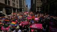 Stampede at New York Pride parade after fireworks mistaken for gunfire