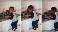Video of helpful toddler washing dishes like a pro amazes internet users: "His future wife will be lucky"