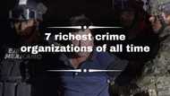 Here are the 7 richest crime organizations of all time