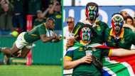 Rugby World Cup 2023: SA rallies behind Springboks ahead of match against Ireland