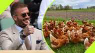 Former Manchester United and Real Madrid midfielder shows off his poultry in viral video