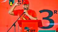 EFF plans to take over from ANC in Free State come 2024, SA reacts