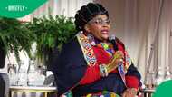 Analyst says Ramaphosa must act after Pemmy Majodina's abusive Kouga confrontation