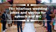 75+ hilarious wedding jokes and quotes for speech and MC