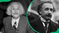 What was Einstein’s IQ? Find out how smart he really was