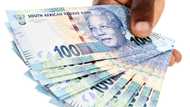 Rand plummets to new lows, the euro takes a blow as US dollar strengthens, global recession fears grow